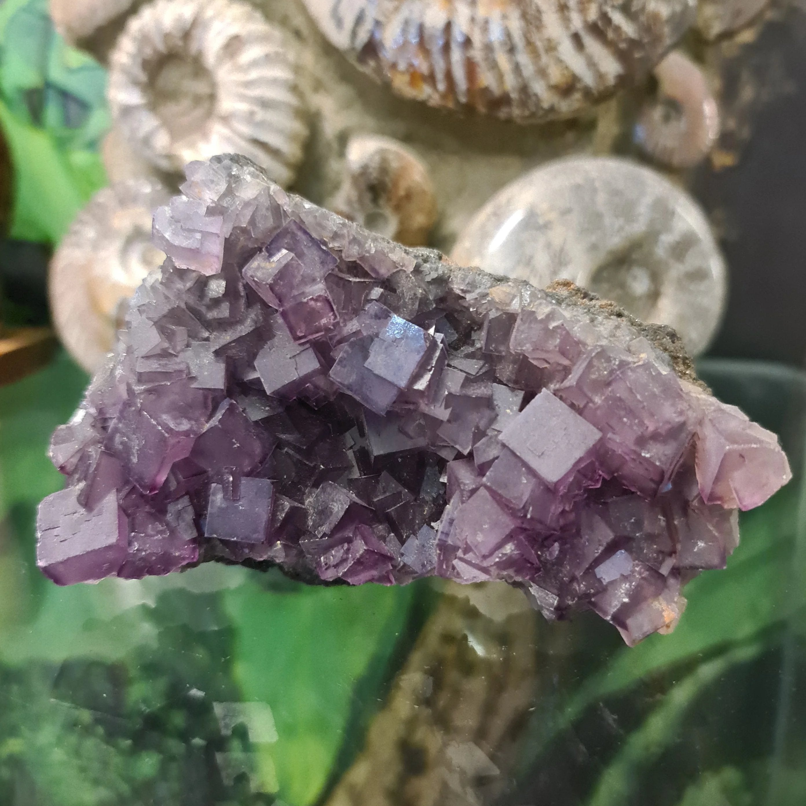 Purple Fluorite top Cluster